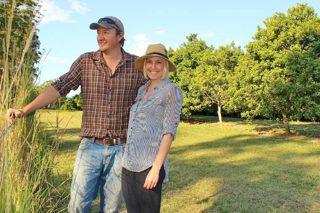 Michael Cameron and Jodie Carstens at their 2000-tree orchard in the Sunshine Coast hinterland.