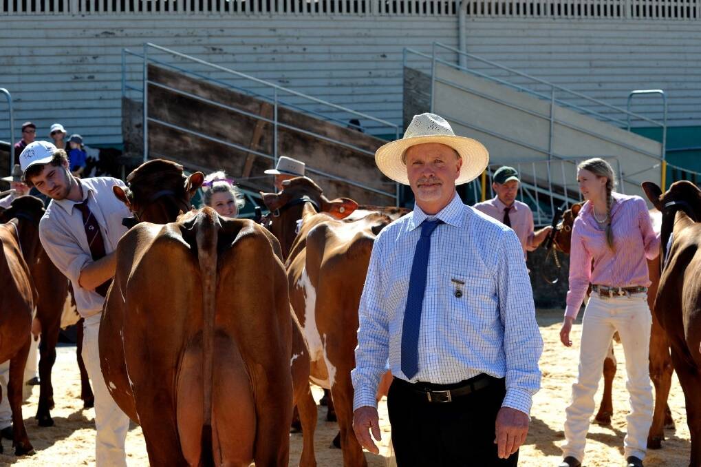 Judging of the dairy breeds and the supreme competition attracted a crowd of onlookers at the Ekka.