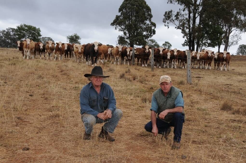 Joe Jessen, Tingoora, one of the founding members of the Kingaroy, Wondai, Proston Tick Eradication Committee, with committee member and local grazier, Peter McCauley, Tingoora, are part of the last line of defence for the tick free zone.