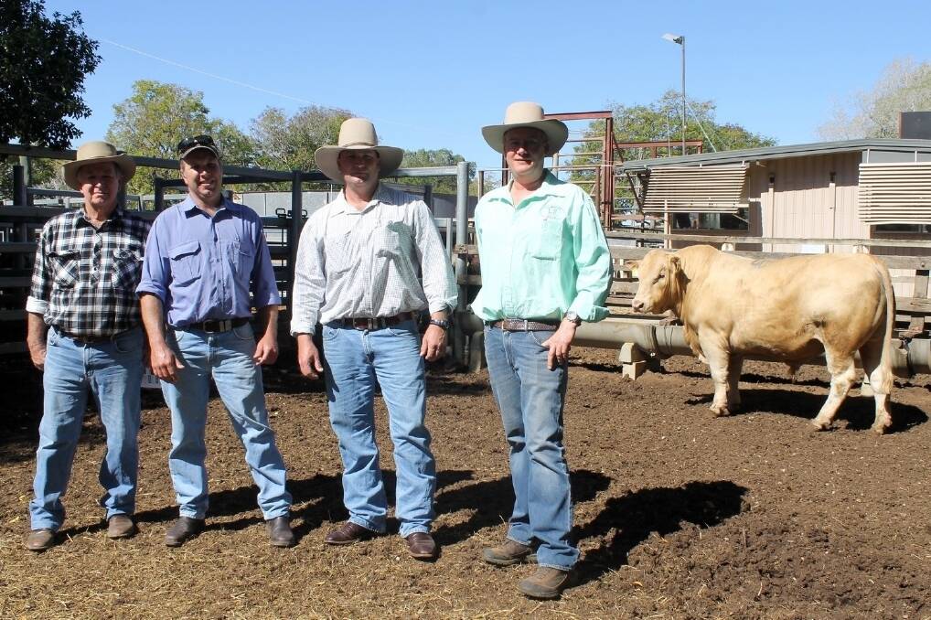 Mac Allan and sons Murray and Danny, from Erne at Blackall, congratulated on their purchase of Acton Jodi for $7000 by Lambert stud principal Scott Bredhauer.