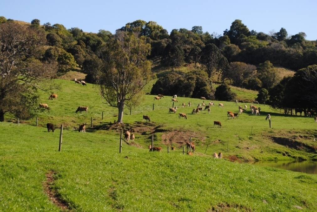 River Ridge Dairies at Kureelpa have been working with SEQWater to improve water quality.