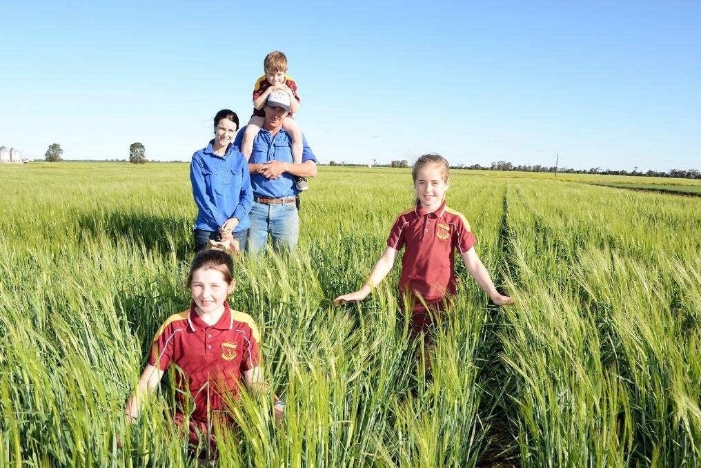 Ebony, Brooke and Toby Tait inspecting the promising barley crop with their parents, Jamie and Anna, Yelarbon. - <i>Picture: SARAH COULTON.</i>