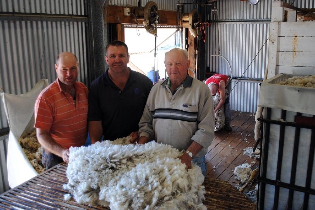 Rugby league legend Shane Webcke (centre) with Ian and Reg Cullen during shearing near Leyburn.