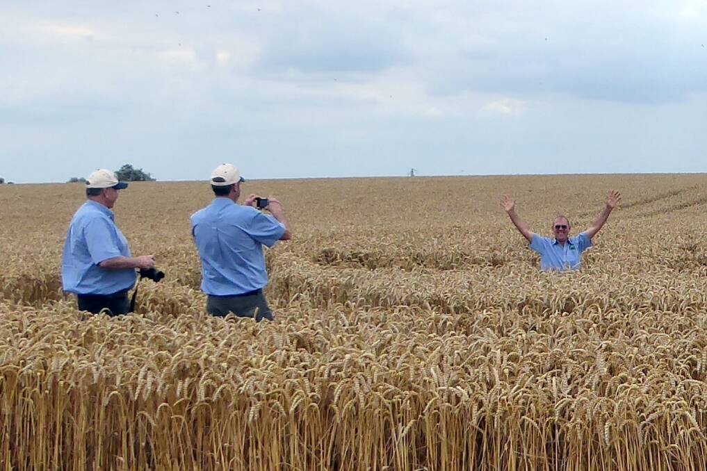 Bill Crabtree in a wheat field yielding 11.3 t/ha on Tony Reynolds' no-till farm, two hours north of London. 