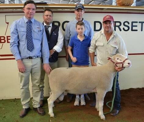 Auctioneers James Tierney, Riverina Livestock Agents, Wagga, and Michael Glasser, Glasser Total Sales Management, Albury, pictured with top buyers Clayton and Henry Rowett, Ulandi Park Poll Dorsets, Marrabel, South Australia, and Aberdeen Poll Dorsets principal Simon Male, Henty. 