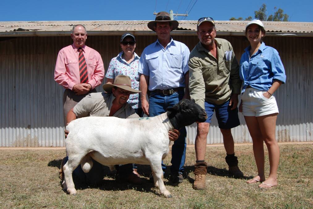 The $6000 sale topping ram was purchased by Julie and Mark Cullinan, Kelleen stud, Wentworth (pictured at the back, second and third from left).