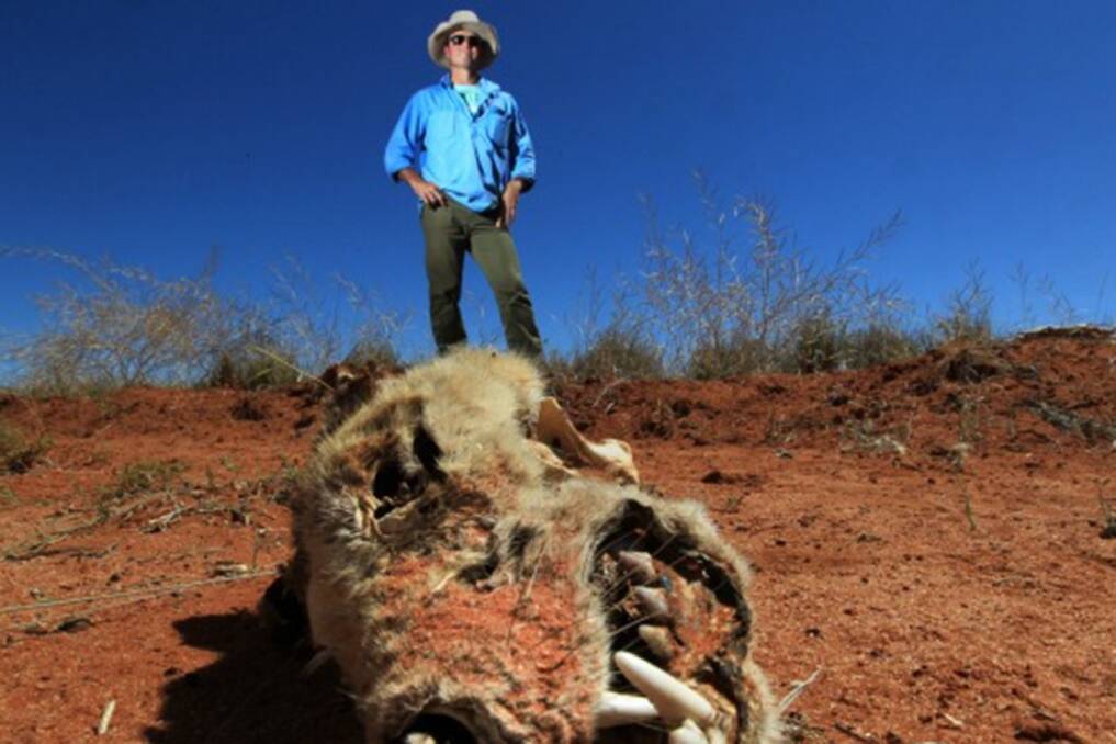Brendan Cullen stands near the skeleton of a wild dog, which had likely been killed by bait. Photo: Peter Rae  