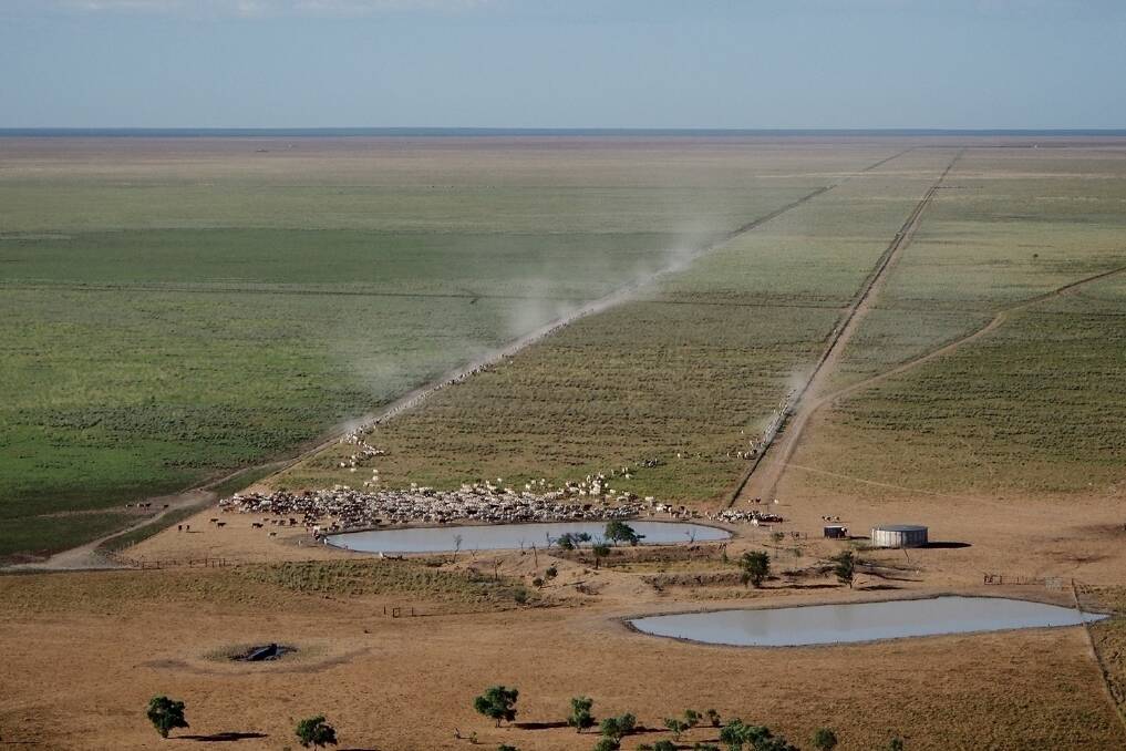 The Beetaloo infrastructure development, bankrolled by entrepreneur Brett Blundy, is the most ambitious ever undertaken by an Australian beef enterprise, involving 600 water tanks, 3000 kilometres of poly pipe, and more than 3000km of fencing.