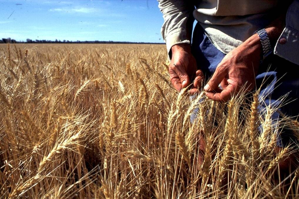 Call for wheat samples