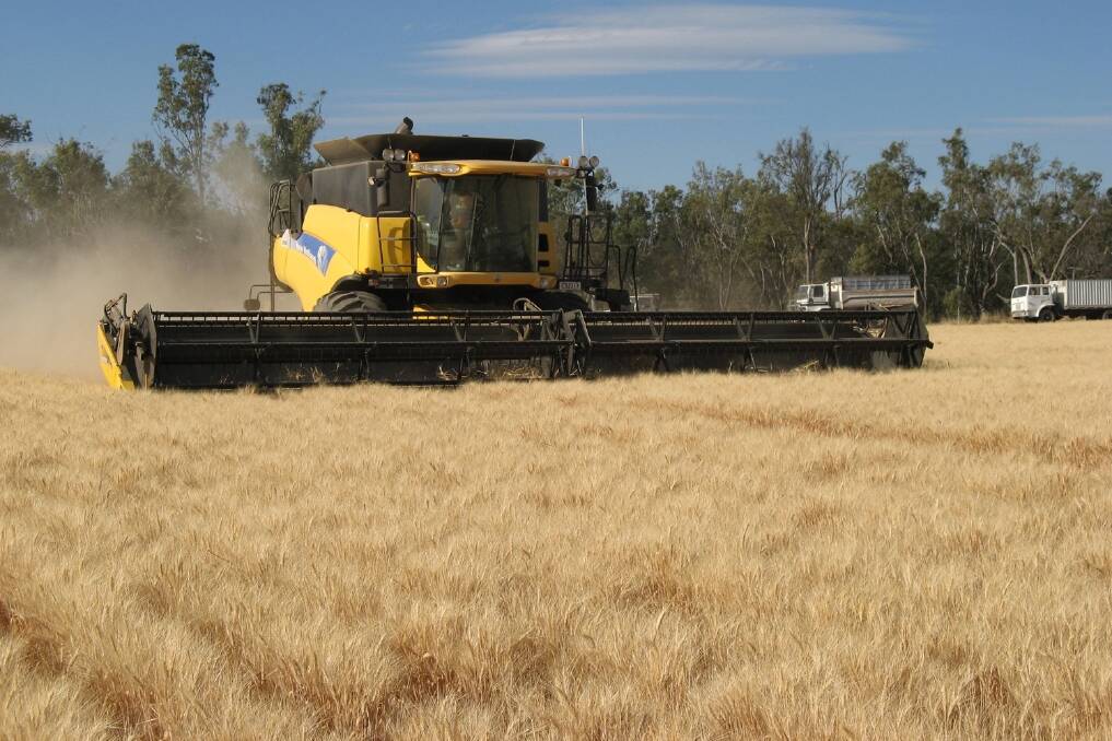 Aussies lead wheat yield charge