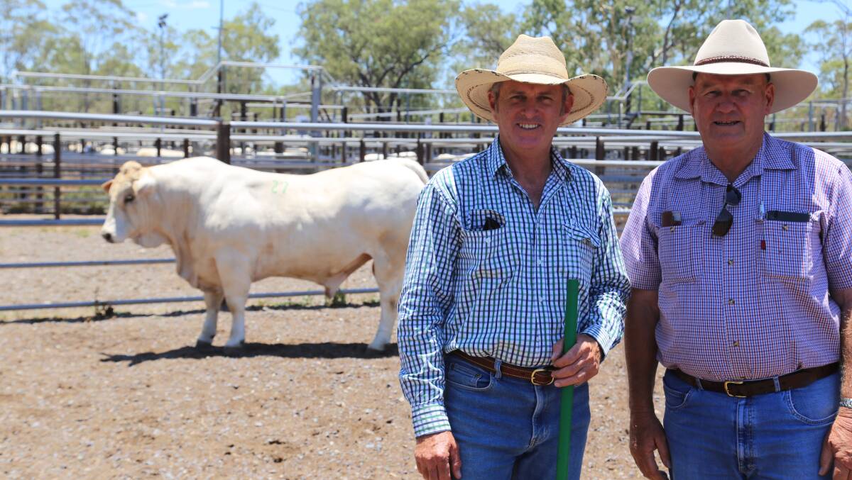 Kandanga Valley Kerid sold for $17,500 to Greg and Shirley Callander, Sarina (right), pictured with stud principle John Mercer.
