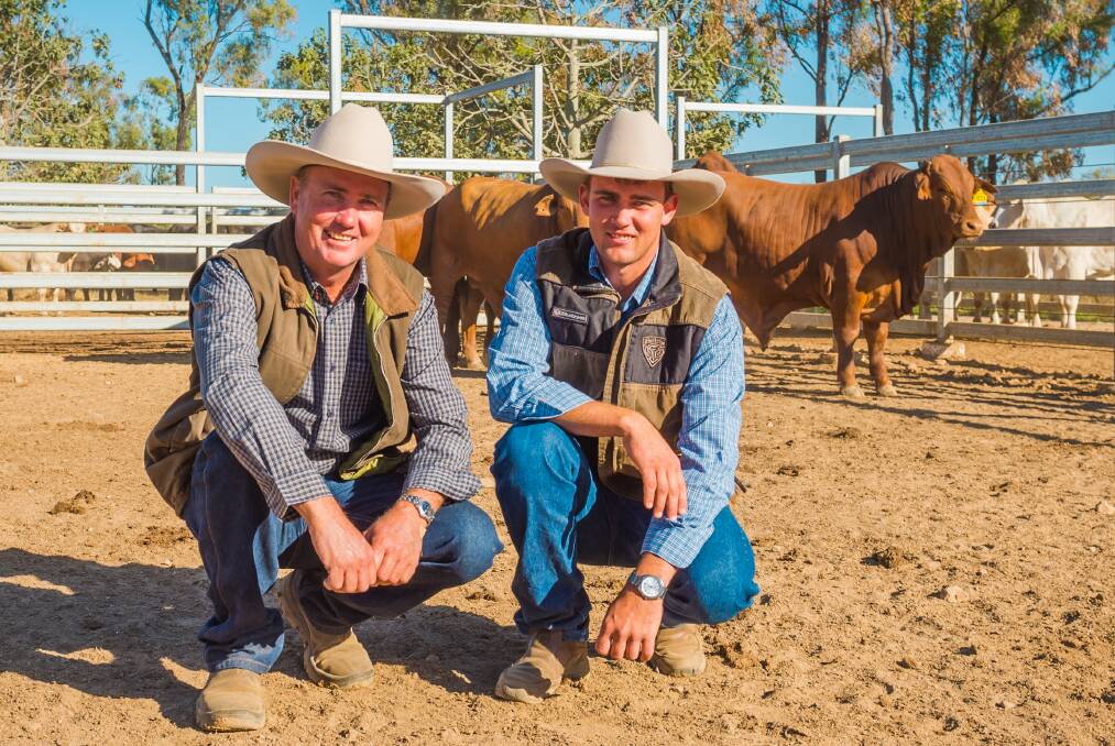 MOURINDILLA: Bill and Will Cragg, Mourindilla and Fairview, Dingo with some of the cattle they entered in the Central Queensland Carcase Classic this year.