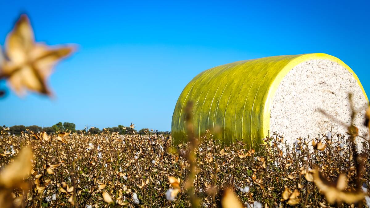 COTTON AUSTRALIA UPDATE: CEO Adam Kay has provided an update on key industry issues. 