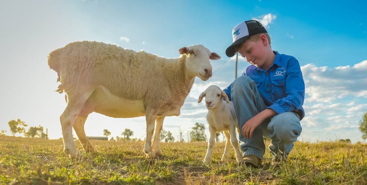 Will Prentice, Jamar, Emerald, with his newest lamb, Sticks. Photos - Kelly Butterworth. 