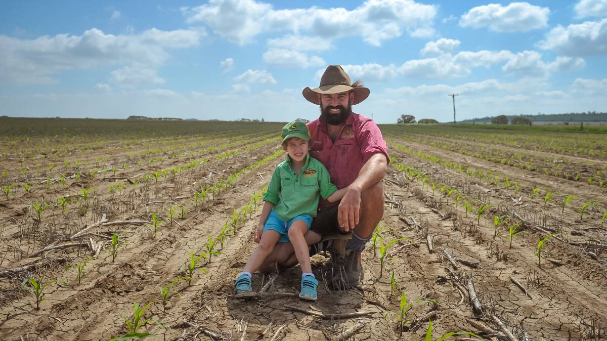 FIRST CORN CROP: Jordan Anderson and his son Artie in the family's first corn crop. Photo - Kelly Butterworth. 