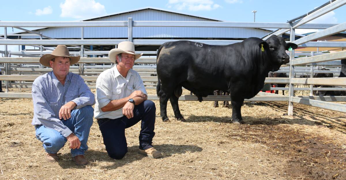 Top Price: Gavin McKenzie and Bruce Woodard with top priced bull, Bonox 822, which sold for $50,000.