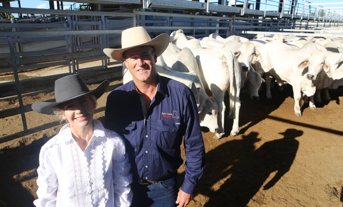 Lynette and Tim Olive, Apis Creek, Marlborough, claimed the reserve champion grainfed pen of steers. 