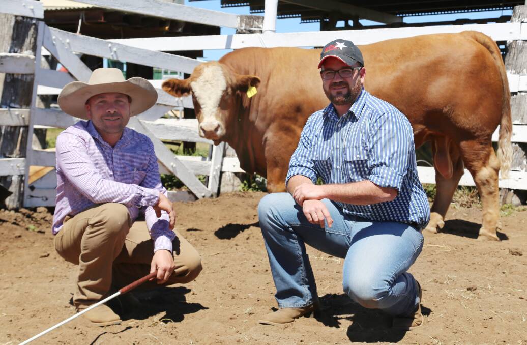 KBV's Martin Rowlands and Stephen Lean with top-priced bull KBV Sylvandale Grampian L177. 