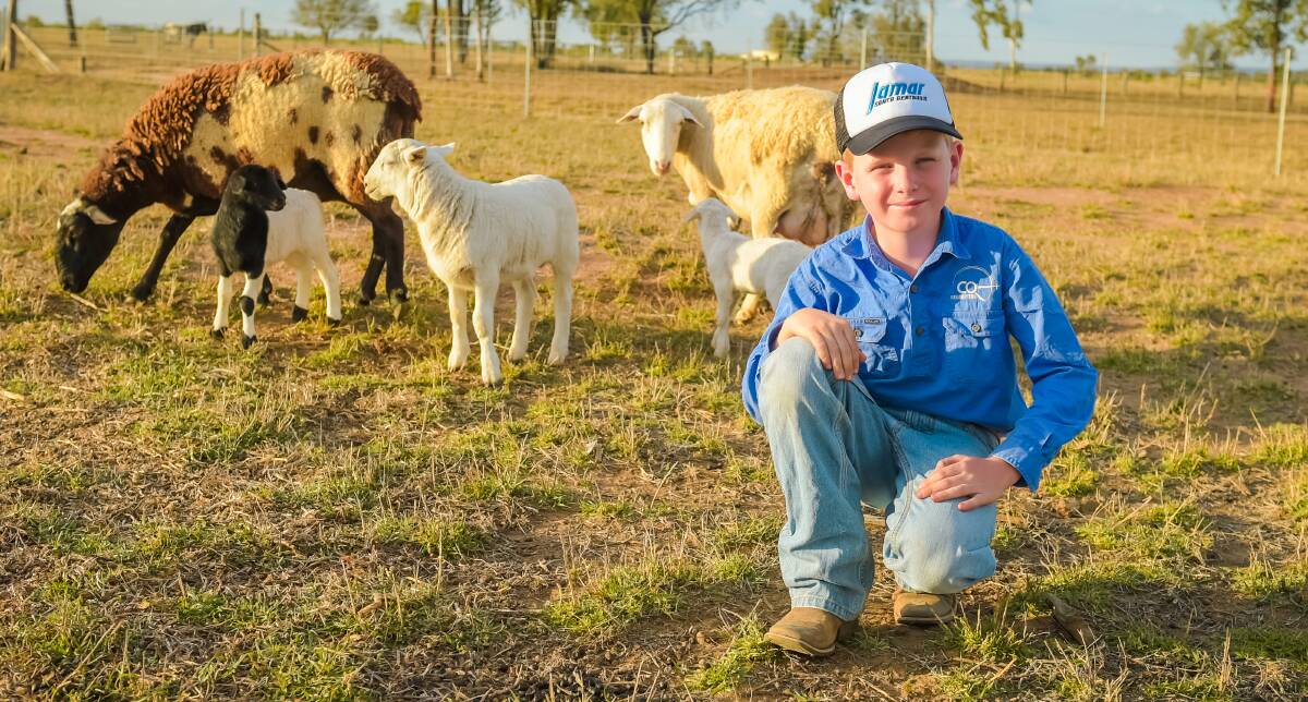 Will Prentice with some of his flock. 