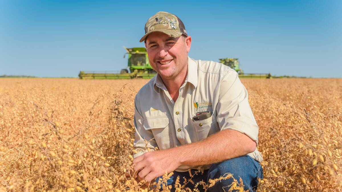SITTING PRETTY: Chris Brummell, Cowal Agriculture, Emerald, in this year's chickpea crop at Nyang which is being harvested now. Mr Brummell said the long, dry season had taken its toll on the crop, but he was still expecting average yields. Photo - Kelly Butterworth. 
