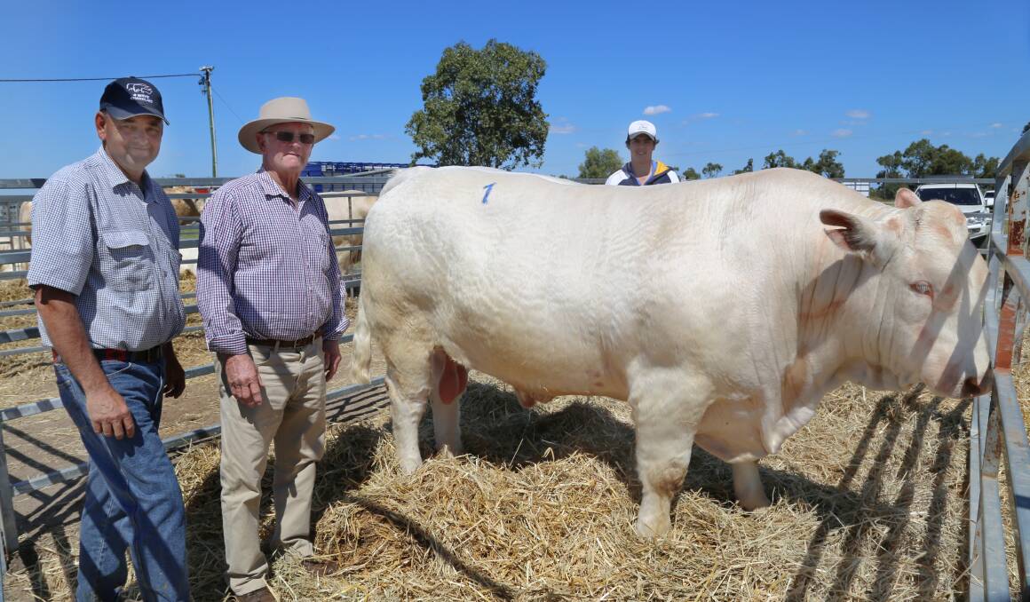 SALE TOP: 4 Ways Charolais' David Whitechurch, Moongool Charolais' Ian Price and 4 Ways' Blake Whitechurch (back) stand with top-priced bull 4 Ways Kiwi, who sold for $20,000 at the Bettafield 12th Annual Bull Sale, held in Emerald today, offering 71 lots at a 99 per cent clearance.