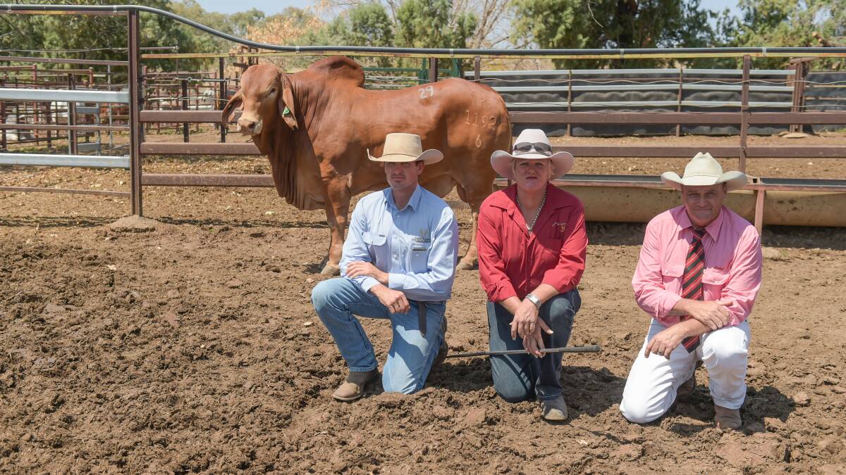Top priced bull NK 1192 (P) with buying agent Brock Palmer, Emerald Land and Cattle Company (Livestock), vendor Fiona Skinner, and Elders' Randall Spann. 