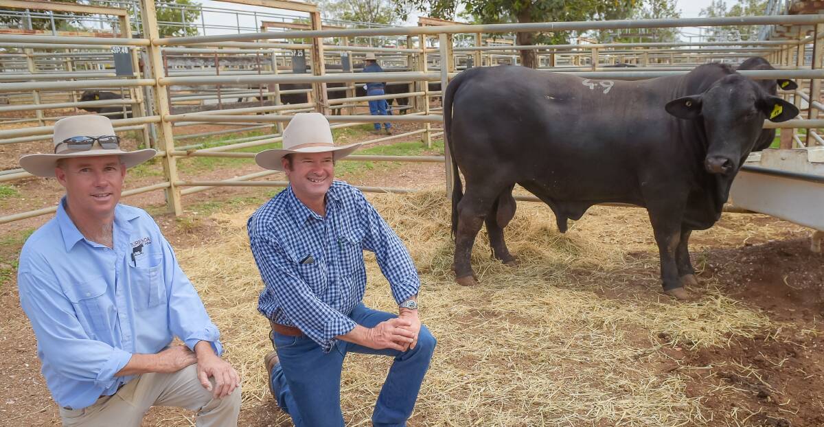 Burenda manager Jonathan Schmidt and top priced bull purchaser Bernard Anderson, Narrien, Clermont with the $14,500 Burenda Specialist L920. 