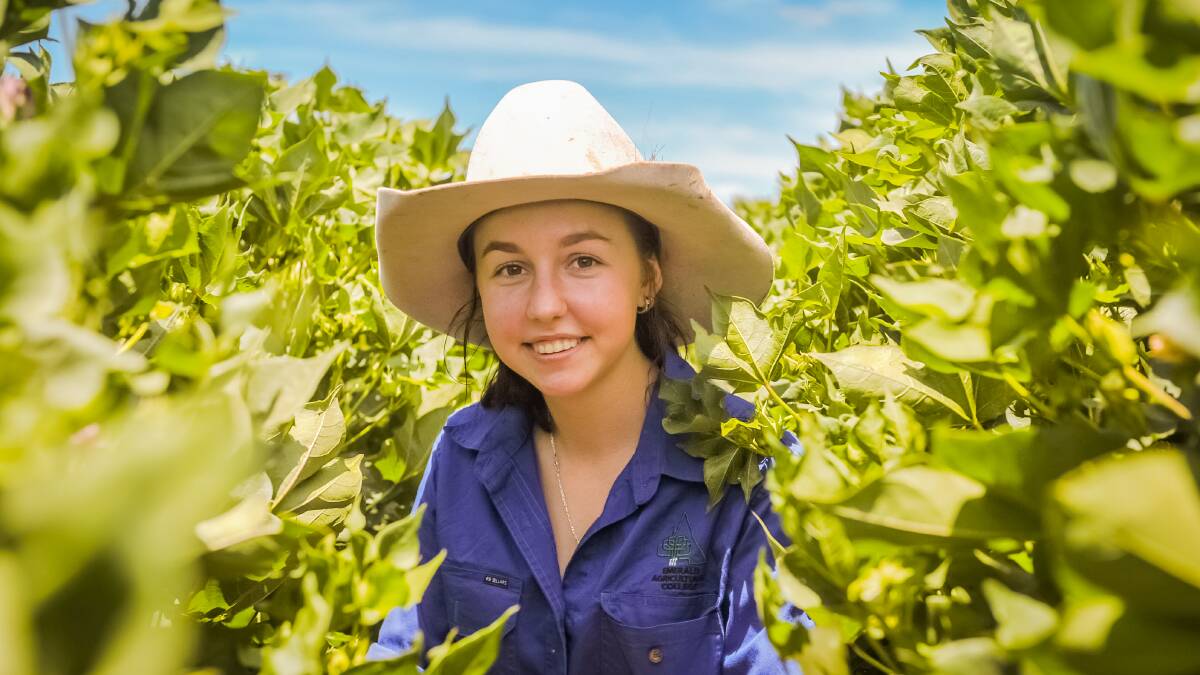 Britney Schofield, 16, Emerald, has received a cotton scholarship to attend the Emerald Agricultural College. Britney is photographed in the college's current cotton crop. Photos - Kelly Butterworth. 