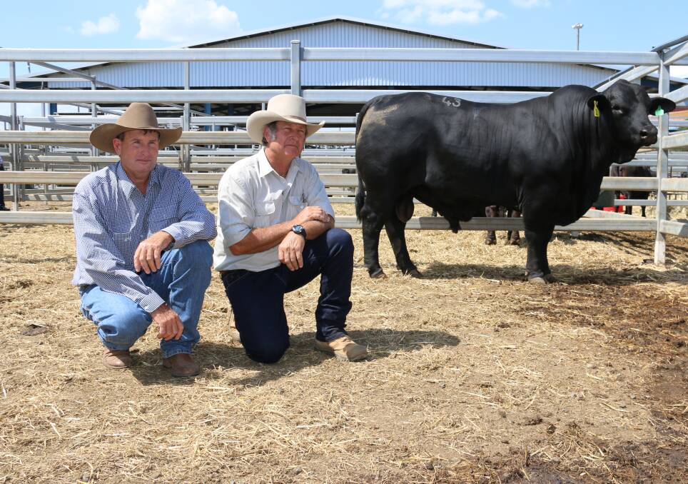 TOP PRICED BULL: Gavin McKenzie and Bruce Woodard with top priced bull, Bonox 822, who sold to Mr McKenzie for $50,000. 
