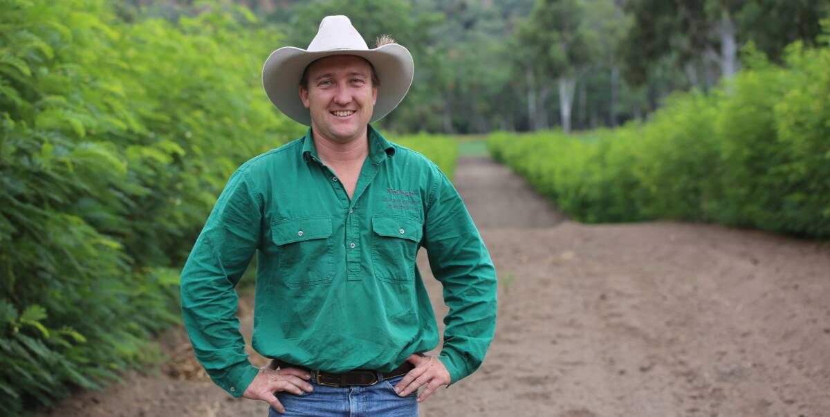 Nathan Evans at the leucaena site on Bandana Station. The station has always grown leucaena to fatten their cattle, and hopes the new variety will provide a new source of income for the property. 