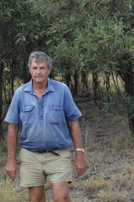 Brian Atkins, Rarcamba, Wandoan, said he feared for the future of agricultural production in Queensland if Labor's tree laws were reinstated.