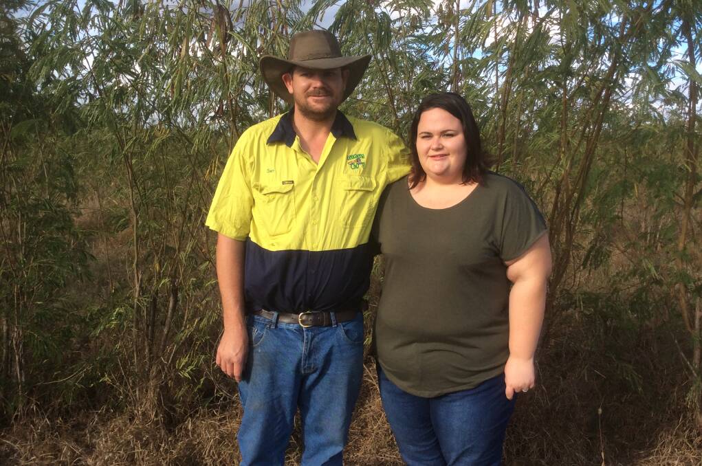 David Alsop passed his business, Leucaena Chop, on to his son Sam Alsop and Sam's wife Casey (pictured), Biloela, but remains in an advisory and planning role.