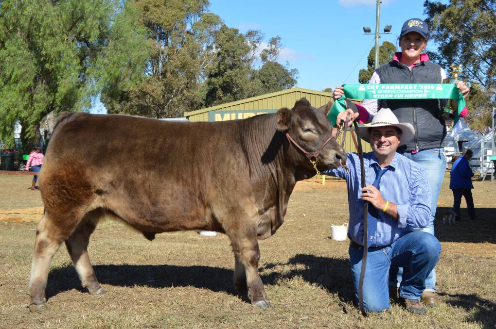 Reserve champion: Brad Densley, Steele Rudd Murray Greys, East Greenmount, holding his reserve champion led steer, Steele Rudd Bullet, and Georgie Densley with the ribbon.