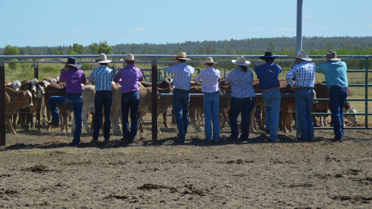 A solid crowd of people dedicated to the improvement of their herd attended the field day for new information and future direction.