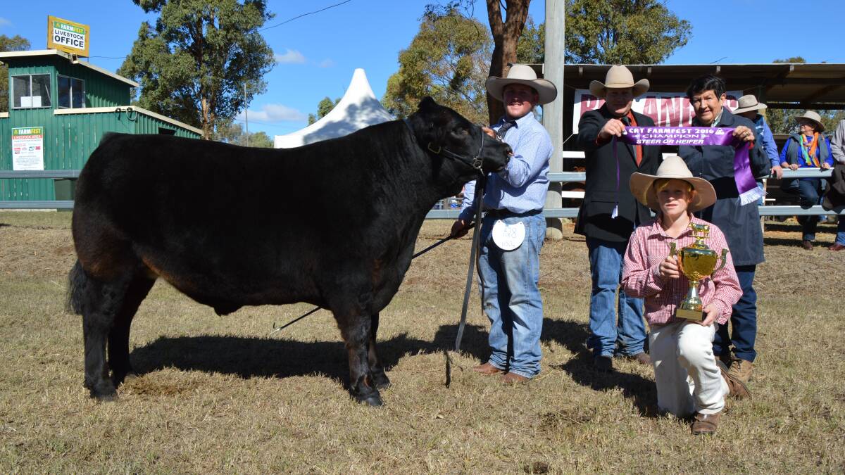 Top steer: Jamie Hollis, Pittsworth, parading the FarmFest champion led steer, Bailey, a 650kg Angus-cross. He is pictured with judge Travis Iseppi, Lowood, owner Elaine Dull, Gowrie Mountain, and Bailey Voll, 12, Biddeston.