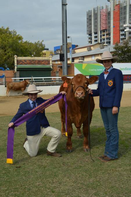 Big win: Myles Kennedy and Elsie-Mai Wright, West Moreton Anglican College, Ipswich, with purebred Limousin steer and champion place getter, Lachy.