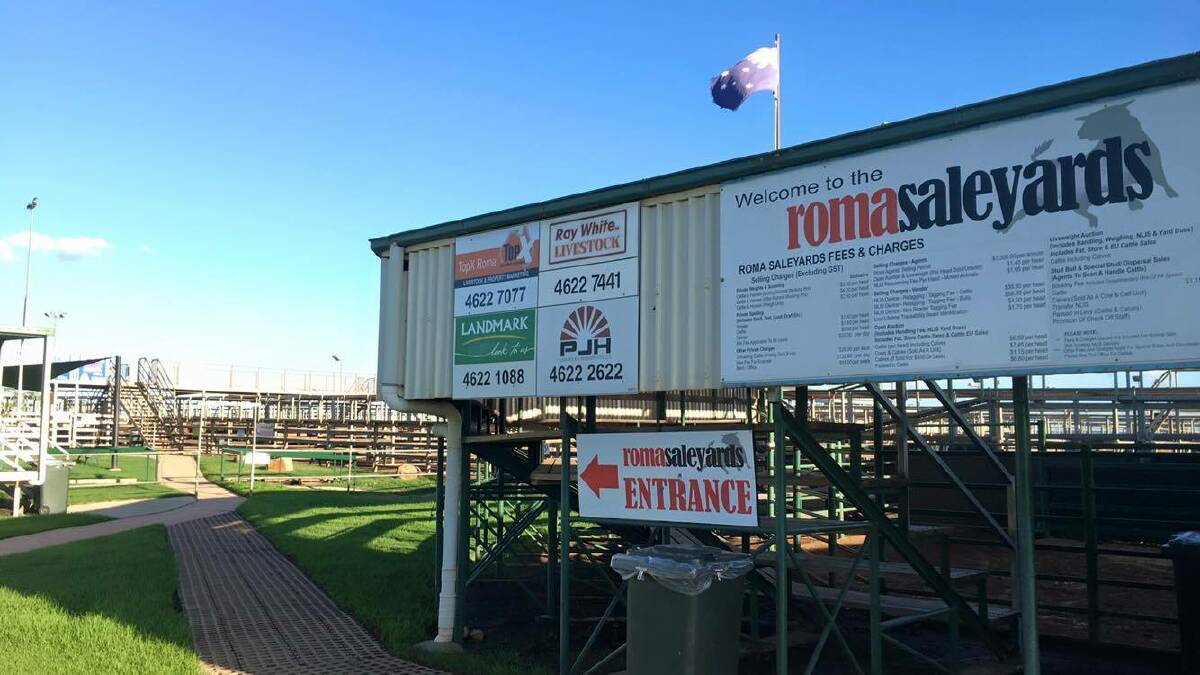 Onwards and upwards: A new truck stop and roadhouse is on the way for the Roma Saleyards with United Petroleum revealed as the successful tenderer.