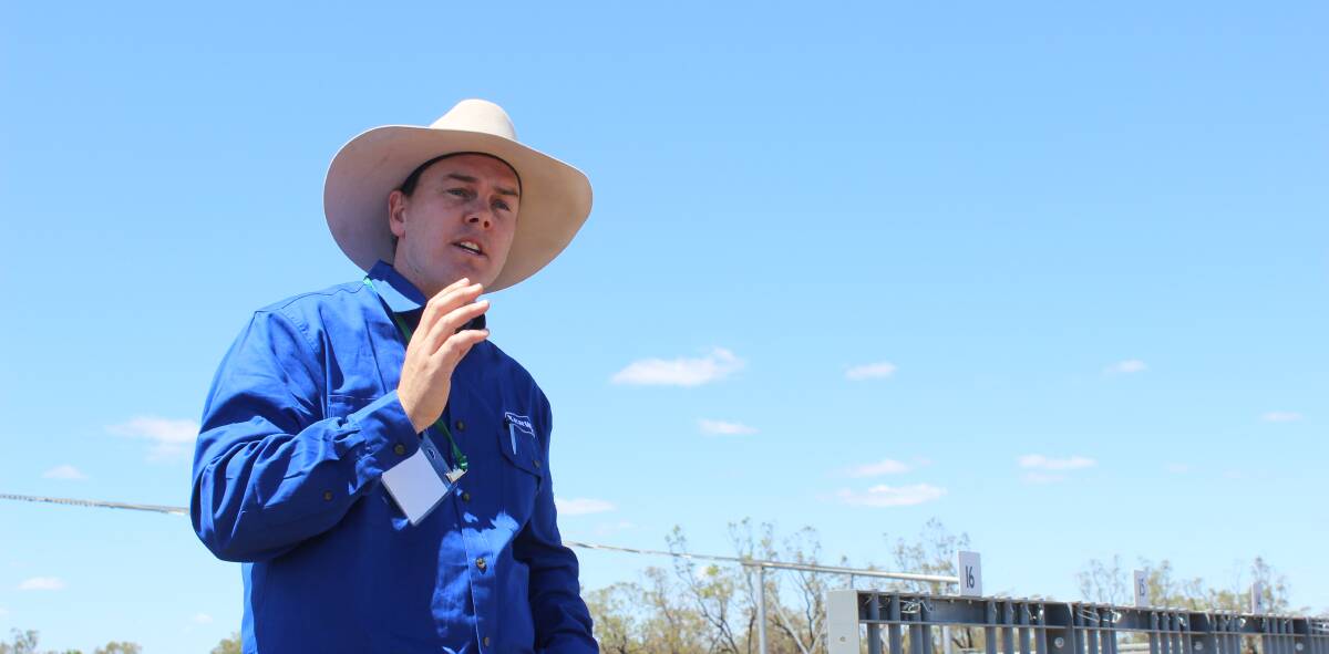 Steven Martin, general manager feedlot operations, Kerwee Lot Feeders, Jondaryan, outlines the Wagyu sire progeny test program they have undertaken.