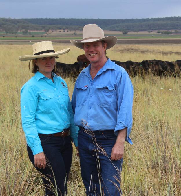 Belinda and Ted Callanan, Wyalarah, Nobby, look over some of their Angus steers they grow out to feedlot weights of 400kg. 