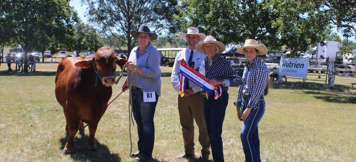 The supreme exhibit of the 2023 Droughtmaster Futurity was Kenview Gunner (P) exhibited by siblings Amy and Scott Davenport, and held by Amy, with judge Anthony Ball, Margaret Wilson, Truvalle, Blackbutt and associate judge Amy Wheeler. Picture Helen Walker. 