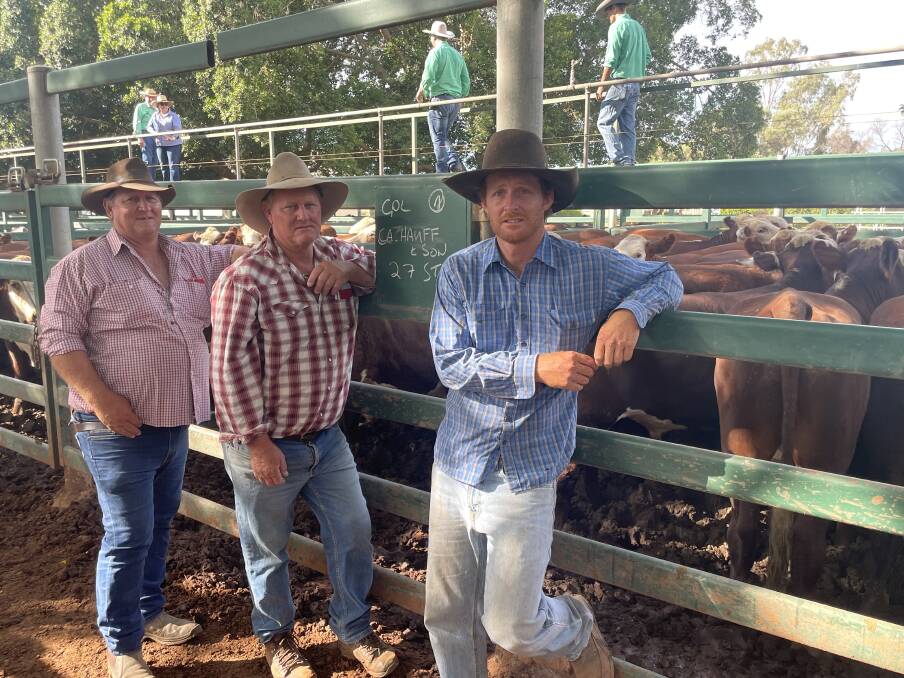 Bevan, Tony and Kelly Hauff of CA Hauff and Sons, The Springs, Blackall, sold Hereford feeder steers for 356.2c at 476kg to return $1695/hd. topping the market at the Blackall Sale on Thursday. Picture supplied.