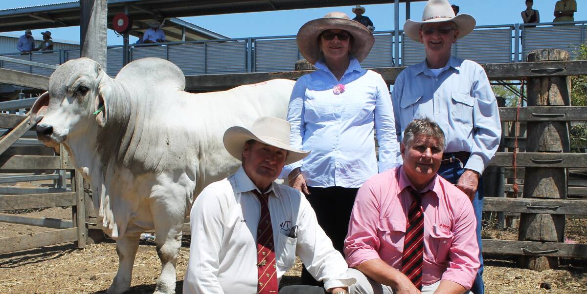 Willtony sold for $70,000 and is pictured with buyers Margaret and Kelvin Maloney, Kenilworth Brahmans, Mt Coolan, vendor Ron Pelling, Willtony, Theodore, and Elders auctioneer, Brian Wedemeyer. 