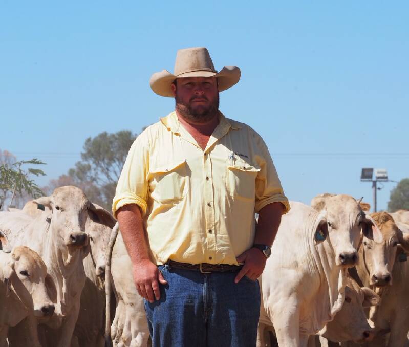 Bill Seeney, Ray White Rural, Longreach, was busy earlier this year sourcing Brahman steers and heifers to supply the live cattle export trade to Indonesia. 