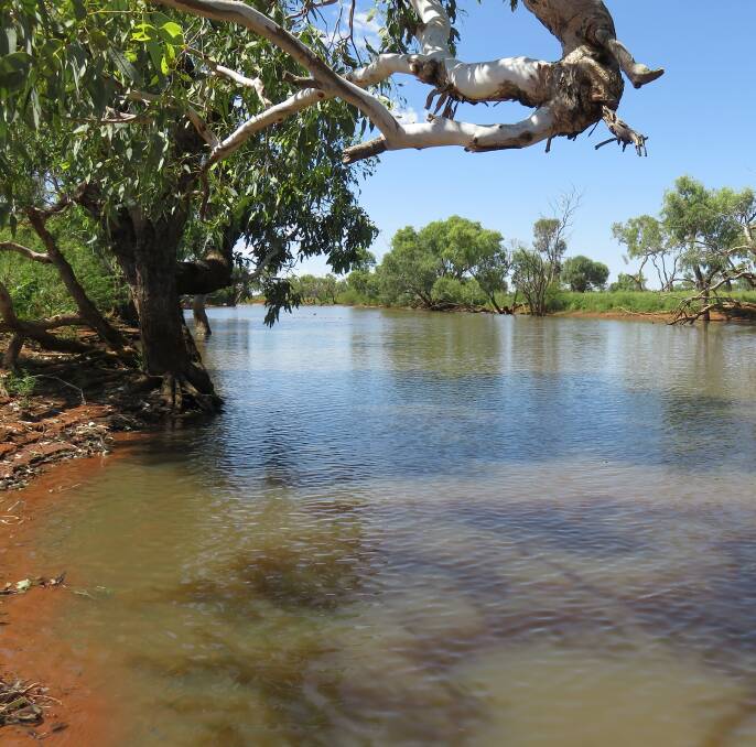 CREEKS: There are many permanent and semi-permanet water holes throughout the country including Manners Creek, from which the property takes it name.  