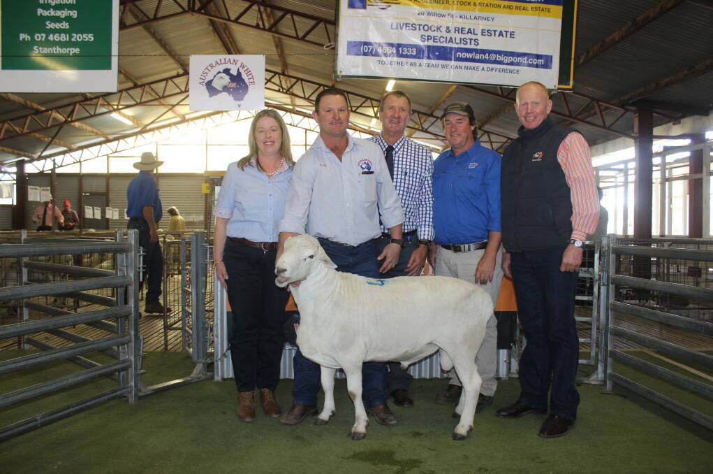 Sale topper: An Australian White ram offered by Angela and Mark Davey sold to a top price of $3000, and is pictured with David Friend, Nowland Stock and Station Agents, Killarney, buyer Paul Keevers, McLean Farms, Pittsworth and George McVeigh, TopX, Warwick.