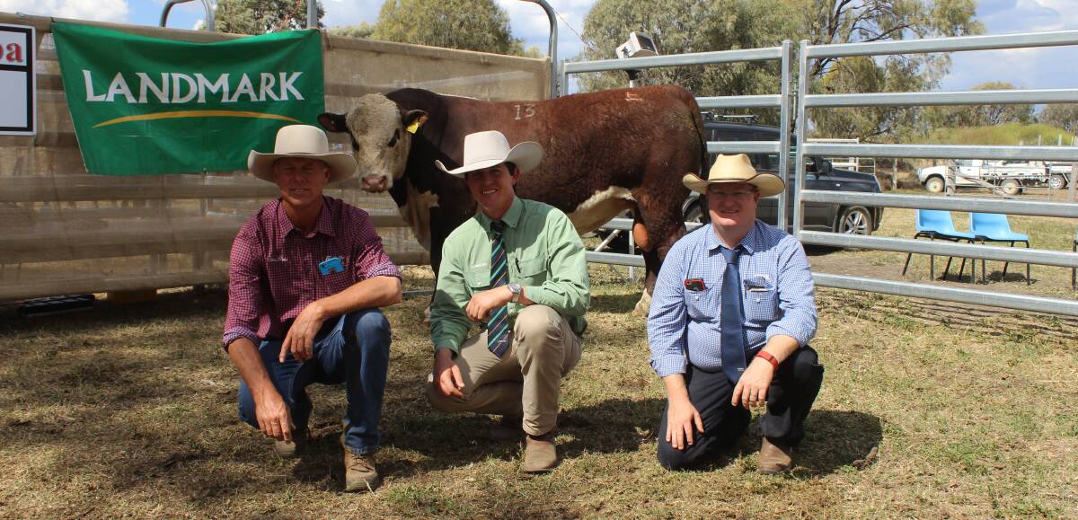 Talbalba The Hoff sold for $40,000 at Steve and Debbie Reid's first annual on-property bull sale and sold to Kidman Poll Hereford Stud, Dubbo, NSW. He is pictured with stud principal Steve Reid, Simon Booth, Landmark, Toowoomba and Mark Duthie, GDL, Dalby.