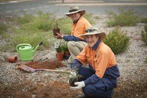 Western Downs Regional Council is looking for trainees to work in horticulure and business.