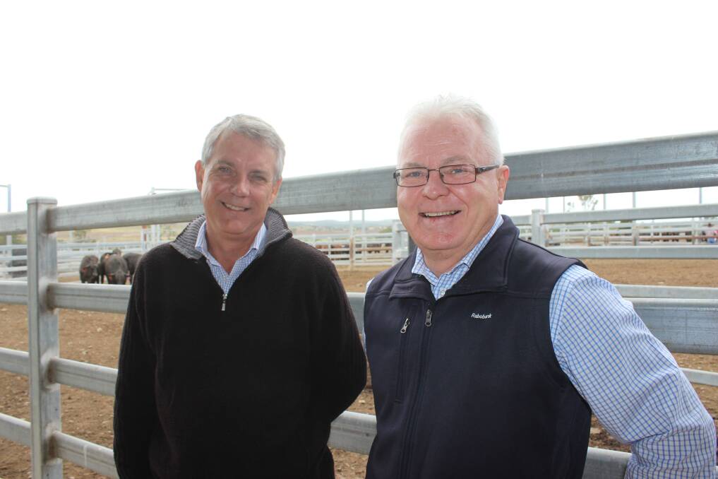 Brangus breeders were hosted at the Waterfall Feedlot near Goomeri to view 126 steers participating in the 100-day Australian Brangus Carcase Competition before the steers were trucked to Nolans Meats, near Gympie for processing.