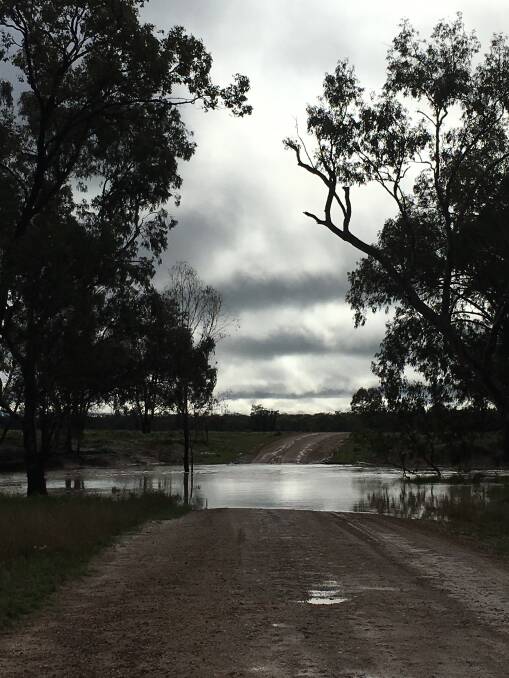 Flood out: One of the many flood creeks on Dilga Road at Glenmorgan. Picture: Jen McCormack.