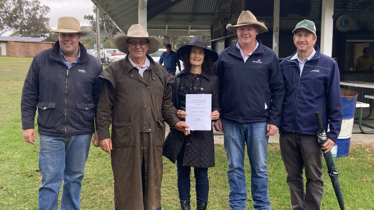 Judge Will Louden, GDL Wandoan with most successful vendors Mike and Sharyn Benn, Eastlynne Partnership, Dalveen with sponsor Michael Walker of Palgrove Pastoral Co, and Chris Deardon of Riverina Stock Feeds. Picture supplied.